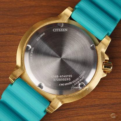 Citizen Promaster Dive BN0162-02X